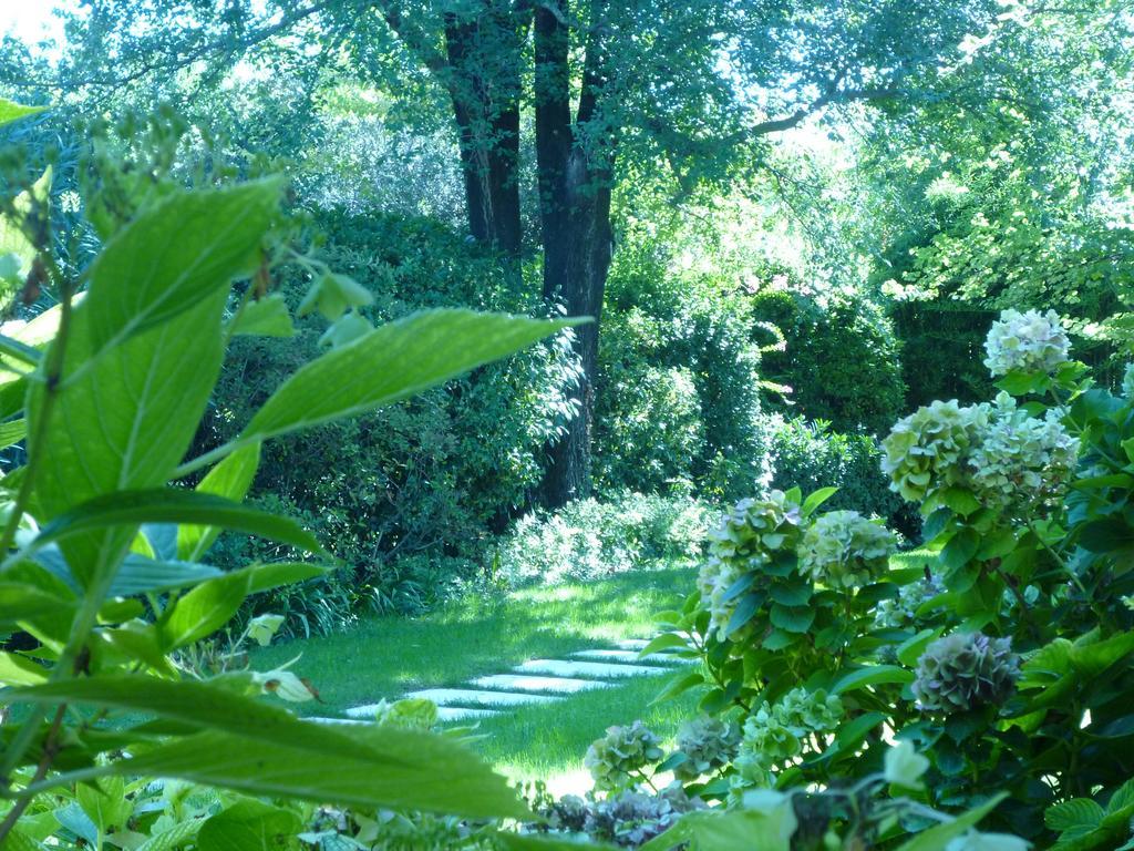 B&B Villa dei Pini Domegliara Esterno foto